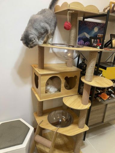 Ảnh của Trụ cào móng 1