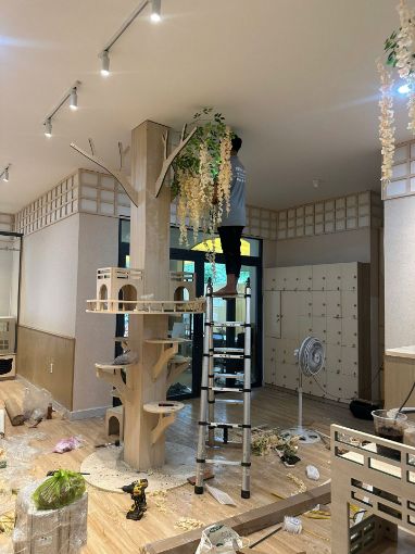 Ảnh của Trụ leo cho mèo