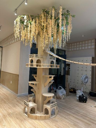 Ảnh của Tháp mèo