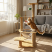 Ảnh của Trụ cào móng nhà cây cho mèo PETDECOR CT025 – Cat tree gỗ cao cấp lắp ráp – Cao 94cm