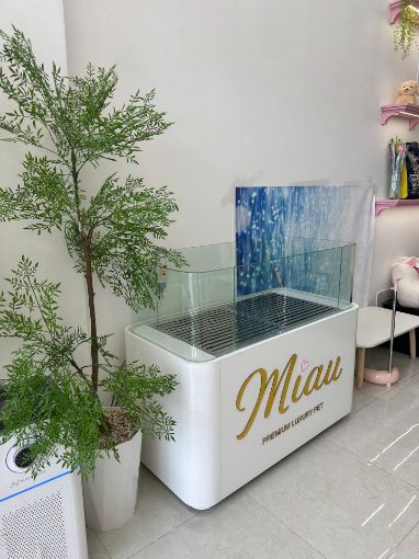 Ảnh của Miau Pet