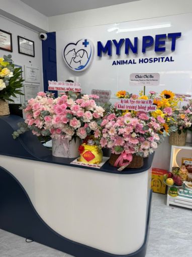 Ảnh của MynPet