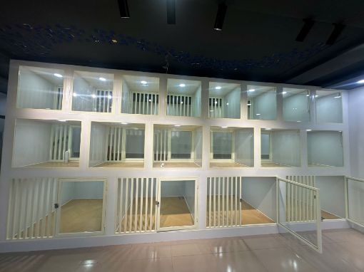 Ảnh của Khách sạn chó The Fang
